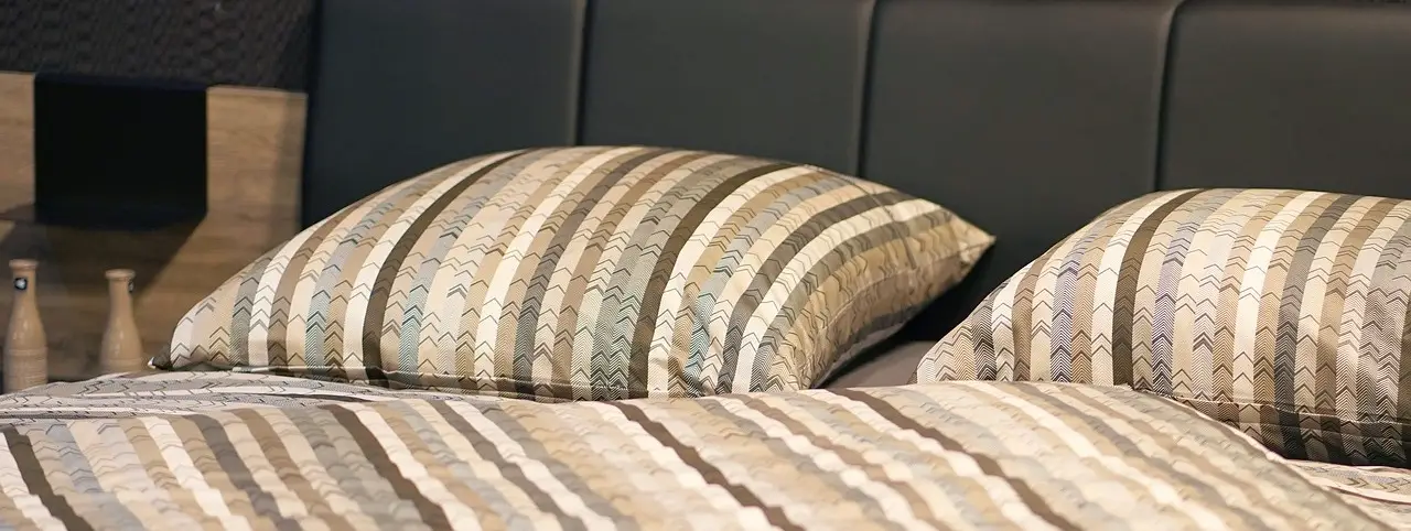 bed bugs in beds